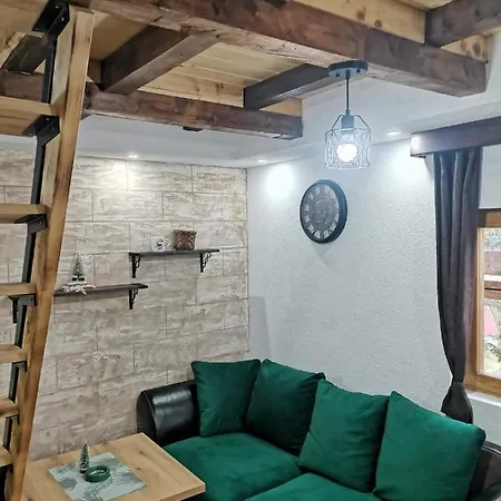Vikendica Ceperkovic #3 山林小屋 科帕奥尼克
